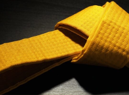LSS Utah -Lean Six Sigma Yellow Belt LSS Utah -Lean Six Sigma Yellow Belt